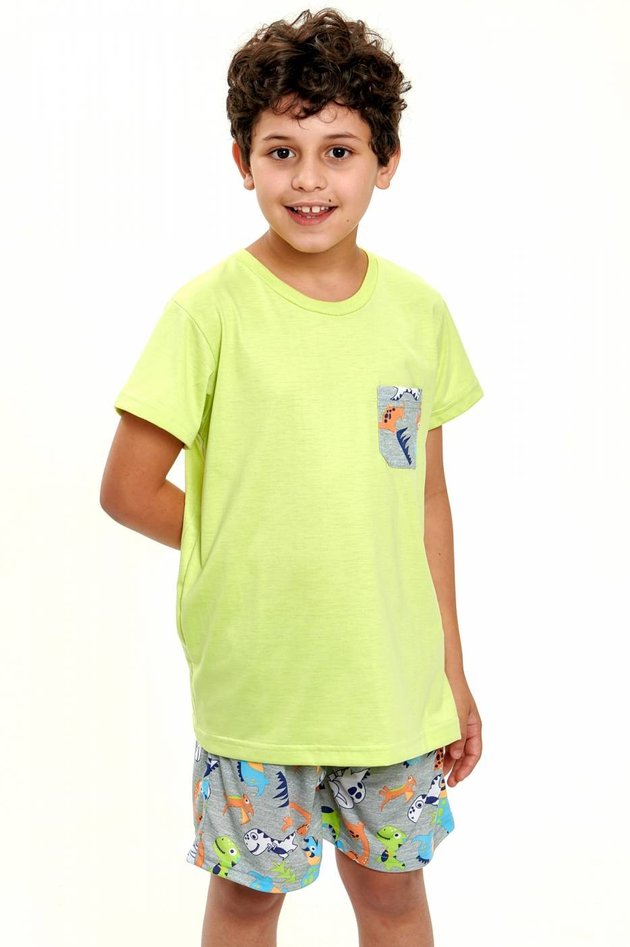 pijama de dinossauros coloridos infantil masculino curto 2