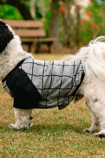 pijama para cachorro chumbo grid xadrez roupa para cachorro 2